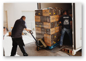 Turbulent Times Info5